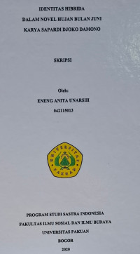SKRIPSI:Identitas hibrida dalam novel hujan bulan juni karya sapardi djoko damono